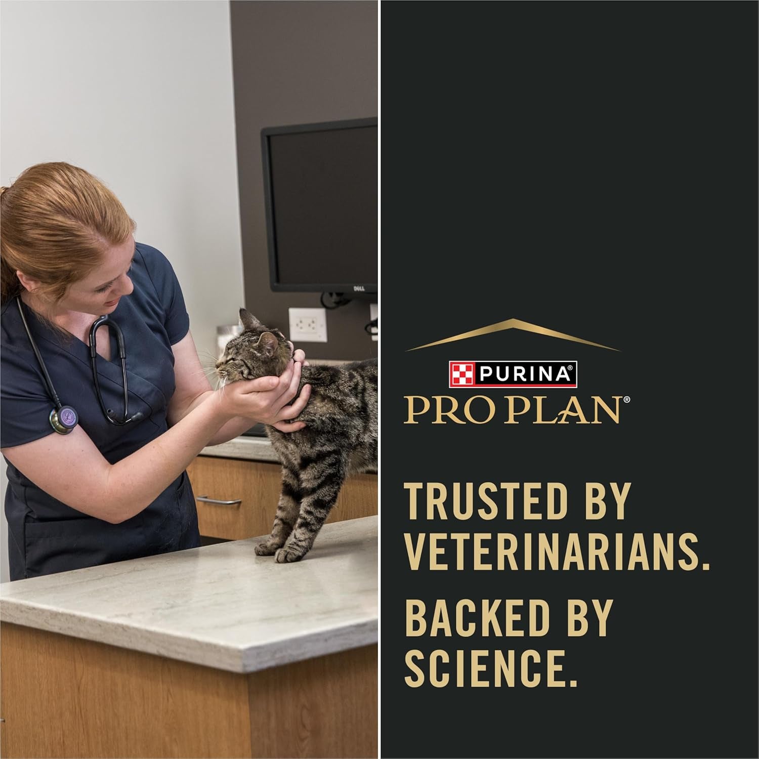 Weight Management Chicken and Rice Adult Formula Dry Cat Food