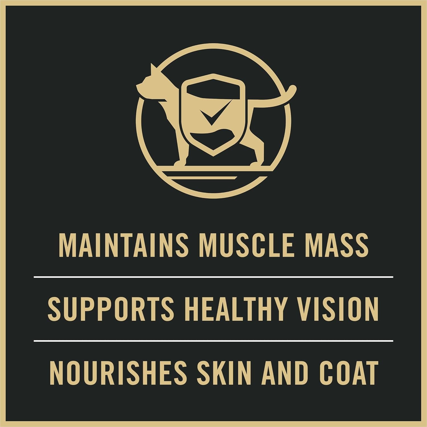 Weight Management Chicken and Rice Adult Formula Dry Cat Food