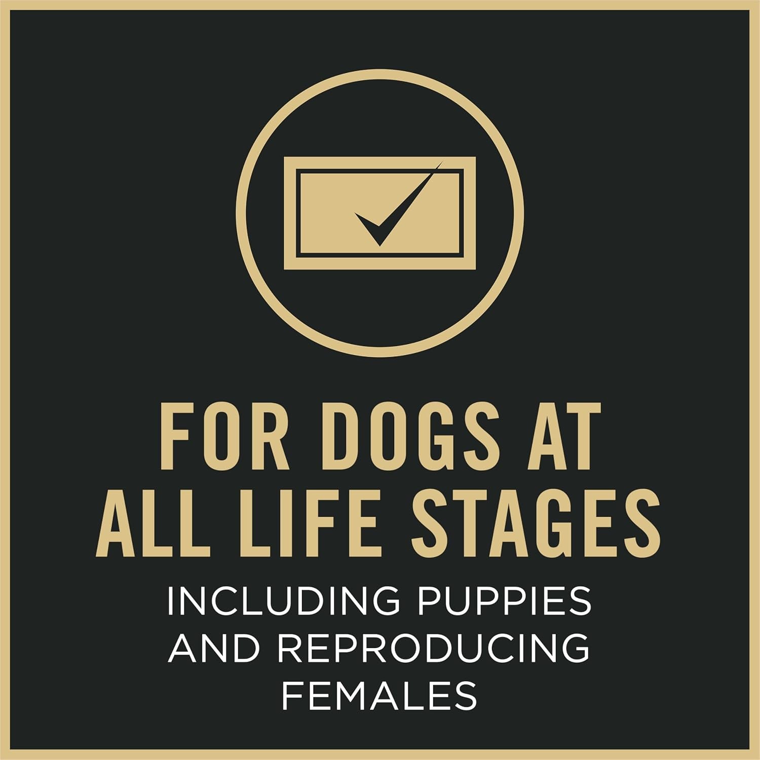 Sport Performance 30/20 Beef and Bison Formula Dry Dog Food - 33 Lb. Bag