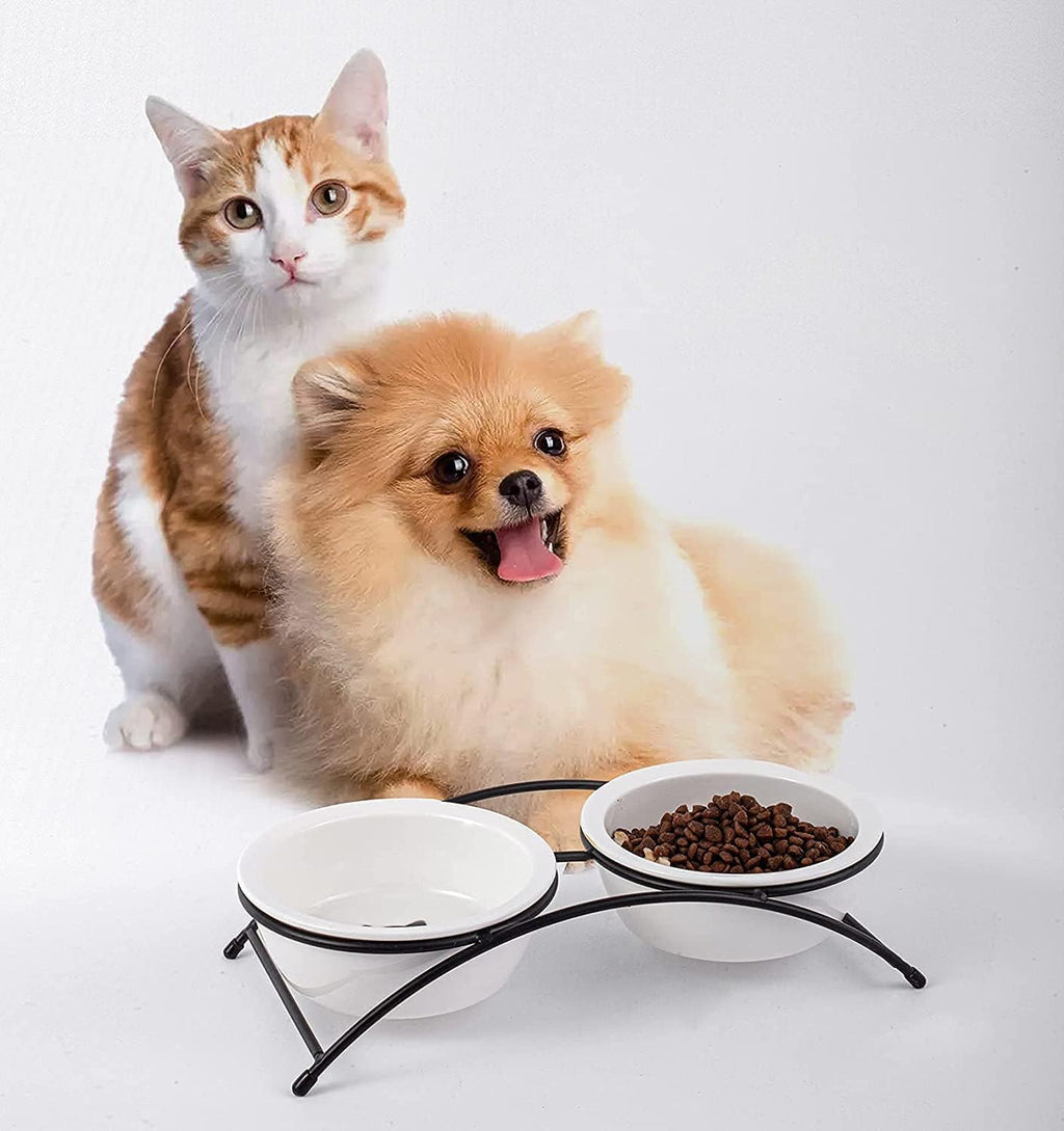 Cat & Dog Bowls - Ceramic Elevated Pet Raised Cat Food Bowls Set, 12 Ounce Small Dogs Bowls, Dishwasher Safe