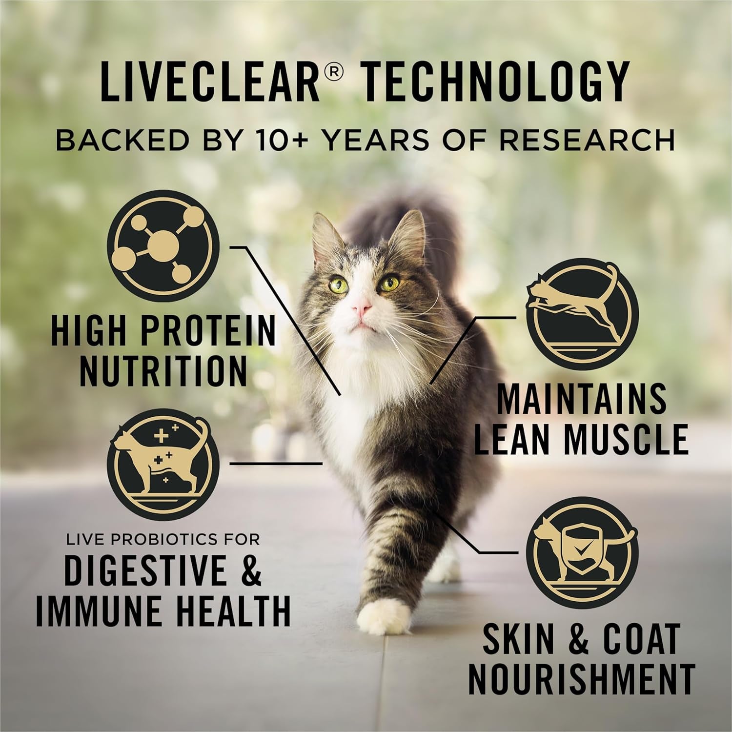 Indoor Cat Food Liveclear Cat Allergen Reducing Turkey and Rice Formula - 3.2 Lb.