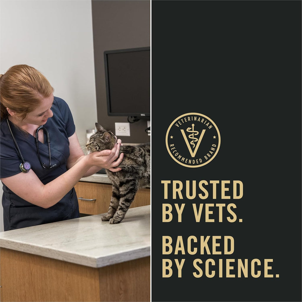 Liveclear Cat Food Weight Management and Cat Allergen Reducer Chicken and Rice Formula - 3.2 Lb. Bag