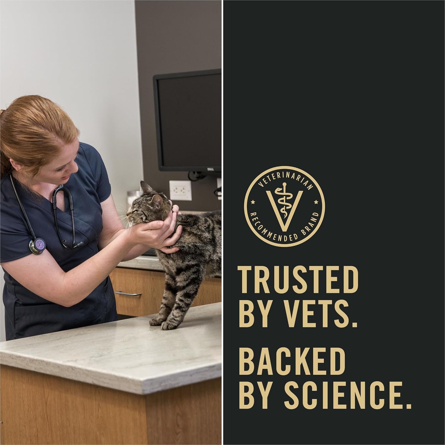 Liveclear Cat Food Weight Management and Cat Allergen Reducer Chicken and Rice Formula - 3.2 Lb. Bag