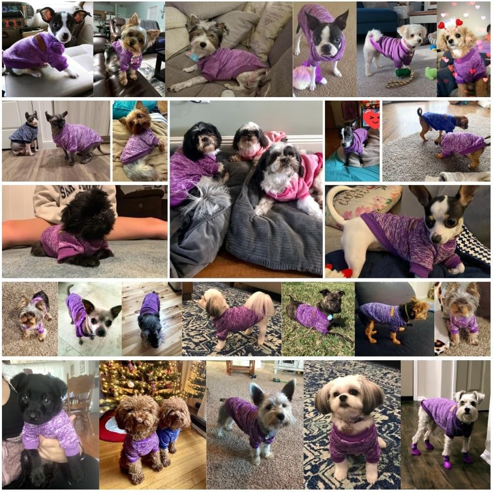 Pet Dog Classic Knitwear Sweater Warm Winter Puppy Pet Coat Soft Sweater Clothing for Small Dogs (XS, Purple)