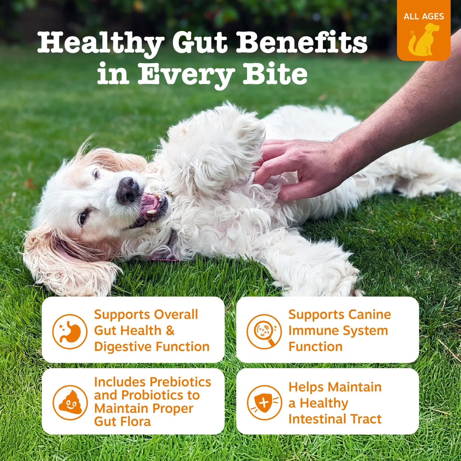 Probiotic Bites for Dogs, for Gut Health, Pumpkin 250Ct