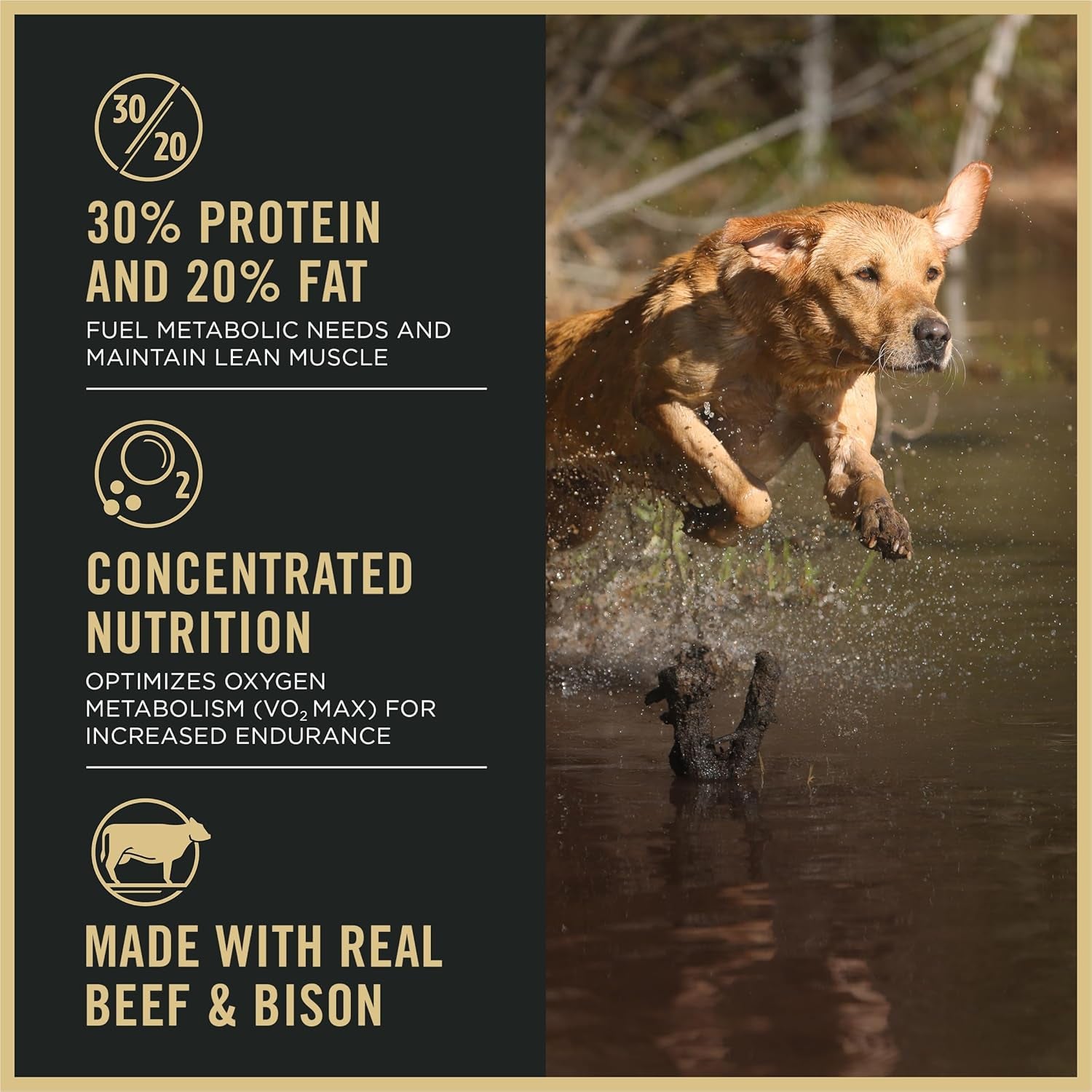 Sport Performance 30/20 Beef and Bison Formula Dry Dog Food - 33 Lb. Bag