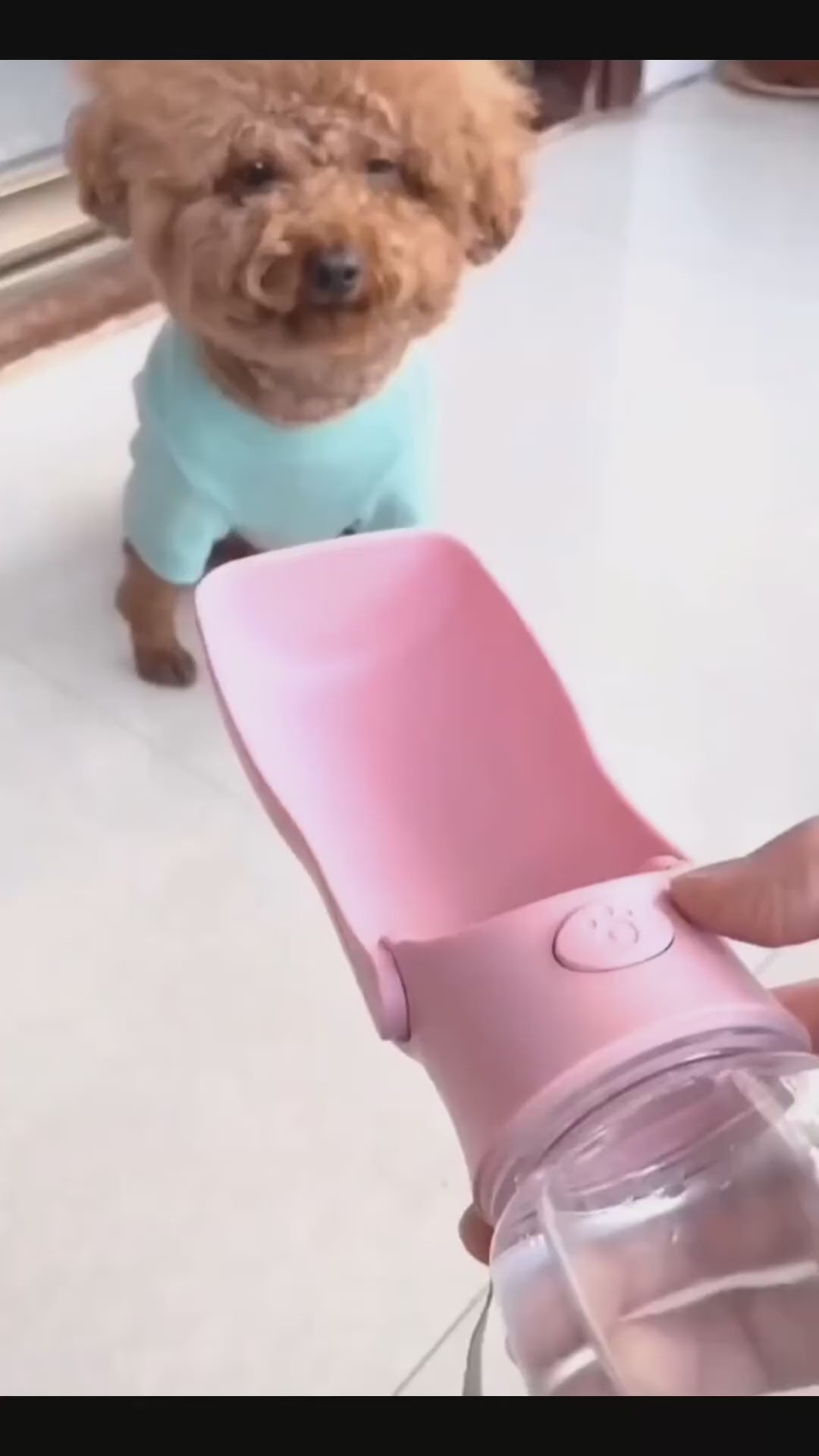 Dog Portable Water Bottle Foldable Pet Water Dispenser Pet Products